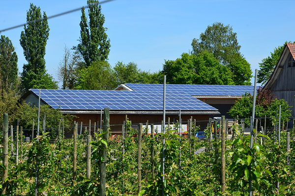 Farm Photovoltaics